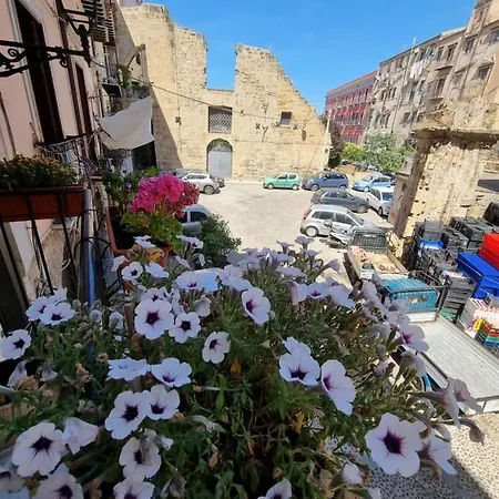 Residenza Tarzana *